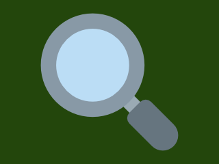 Icon showing a magnifying glass